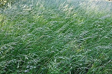 爱奇艺奇遇3 VR互动剧《元世界：Metaverse》引发思考：开启“第二人生”？